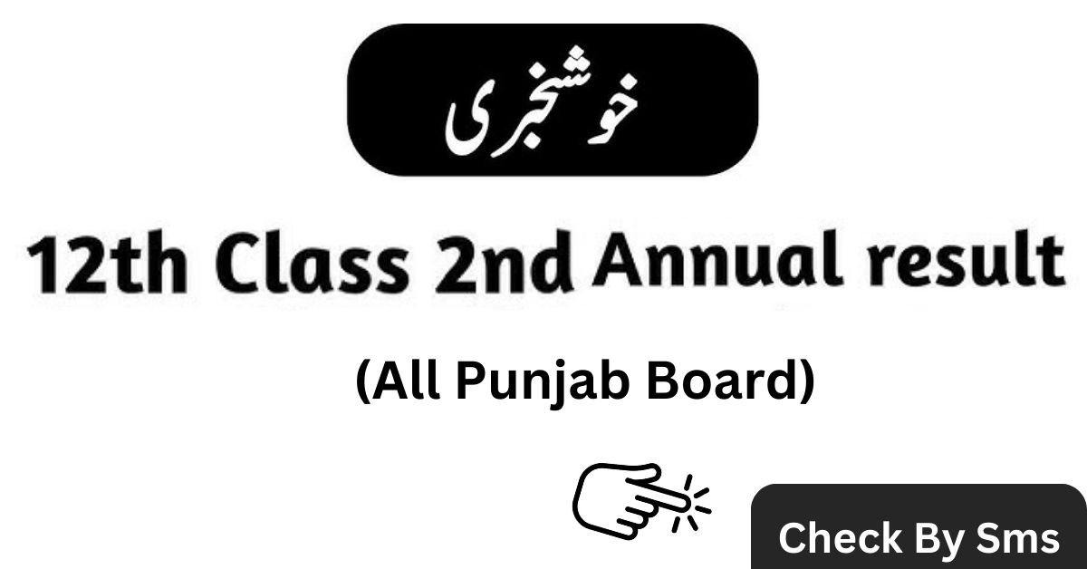 2nd Year Supplementary Result 2024 All Punjab Board