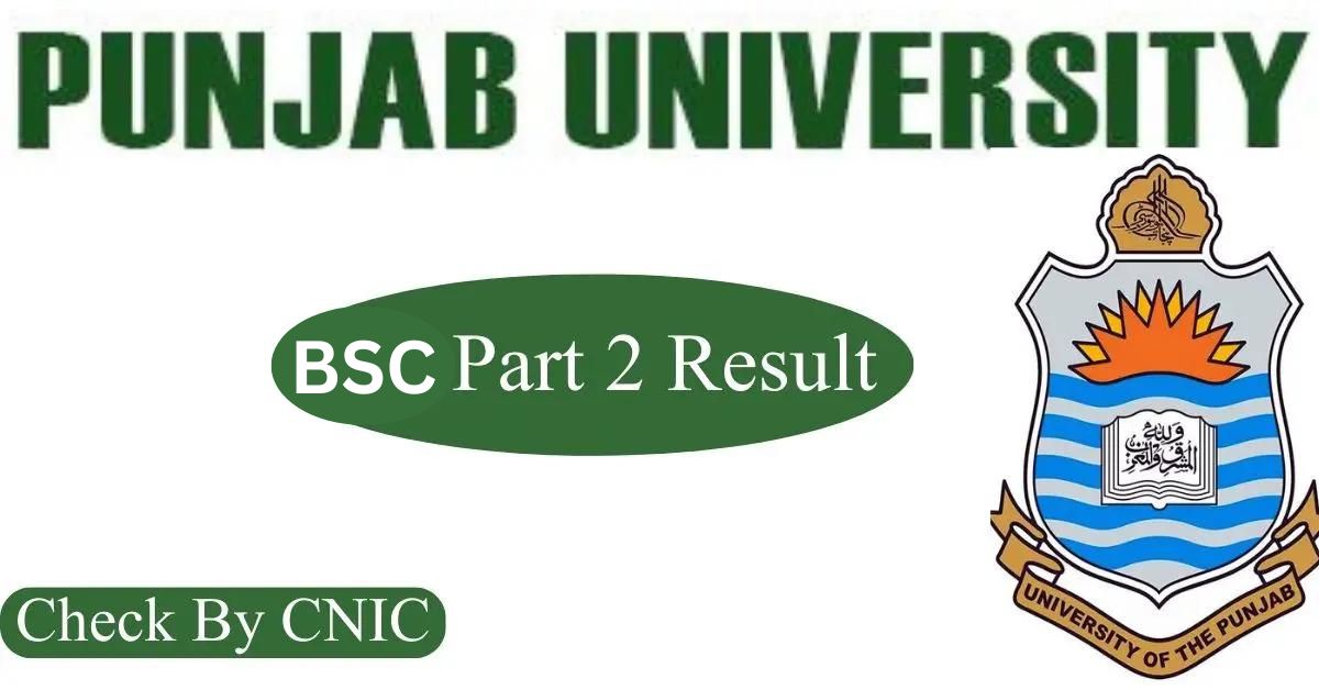 BSC Part 2 Result 2024 Punjab University | Check By CNIC